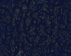 Image / illustration