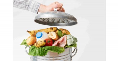 Image / illustration