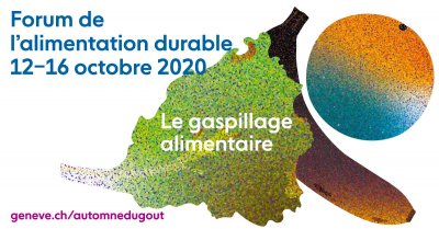 Image / illustration