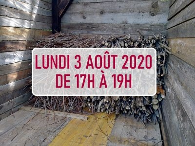 Image / illustration