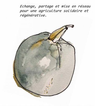 Image / illustration