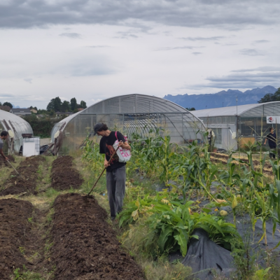 Image / illustration