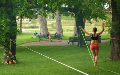 Image / illustration