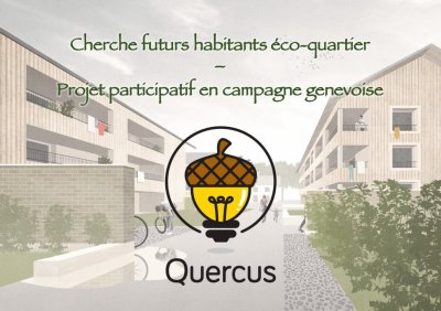 Image / illustration