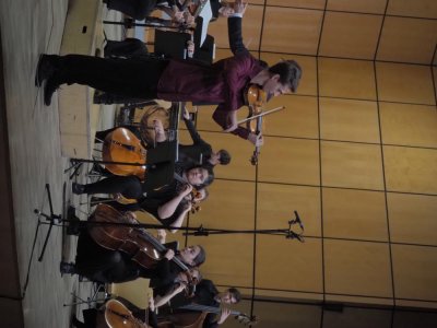 Image / illustration